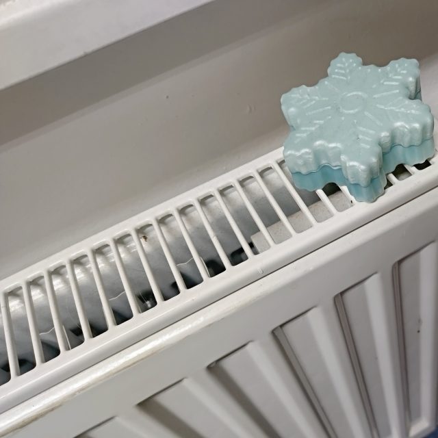 Ilustrační snímek | foto: Hana Hauptvogelová,  Český rozhlas