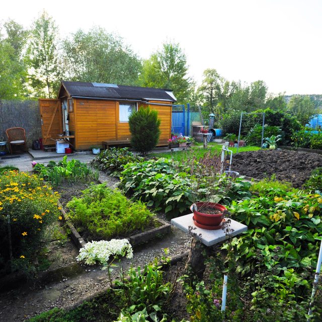 Zahrádka v kolonii | foto: Profimedia