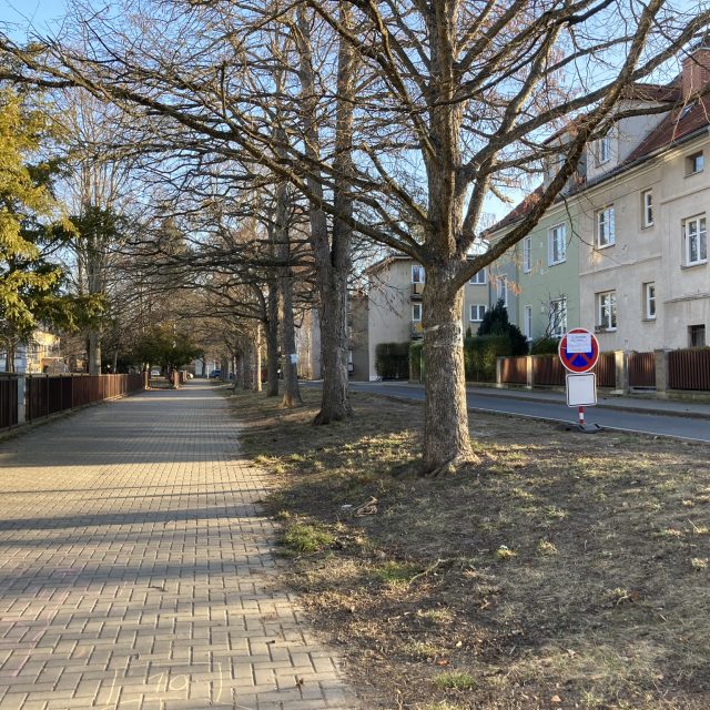 V úzké Vojnovičově ulici řidiči přivážející děti staví i na trávníku | foto: Gabriela Hauptvogelová,  Český rozhlas