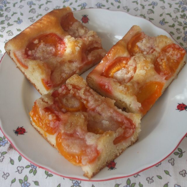 Meruňková buchta | foto: Stanislava Brádlová,  Český rozhlas