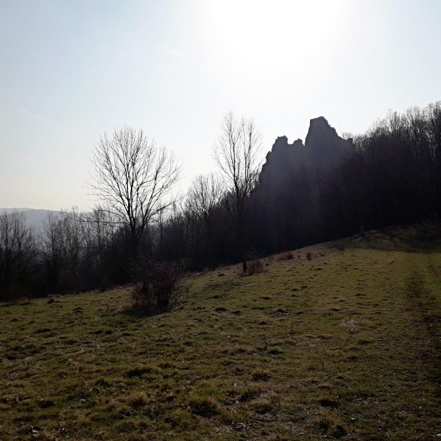 Vrabinec z louky | foto: Eva Bucharová,  Český rozhlas