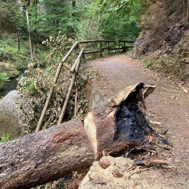 V členitém skalnatém terénu je vysoké riziko zřícení skal,  pádu odumřelých nebo uhořelých stromů | foto: Daniela Pilařová,  Český rozhlas