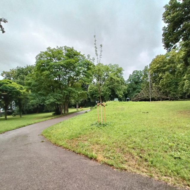 Mánesovy sady v Ústí nad Labem | foto: Adéla Anna Kokešová