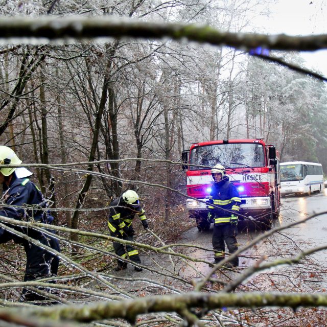 Popadané stromy  (ilustrační foto) | foto: Anna Vavríková,  MAFRA / Profimedia