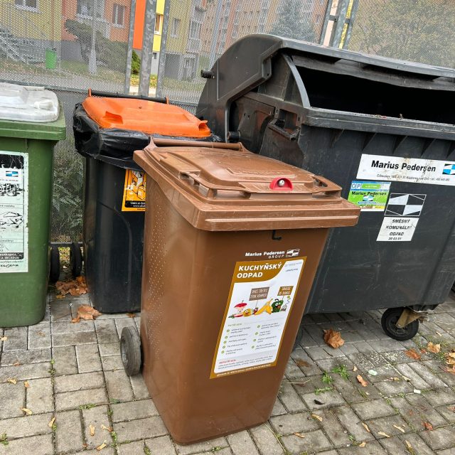 Popelnice a kontejnery na komunální odpad  (ilustr. foto) | foto: Lucie Heyzlová,  Český rozhlas