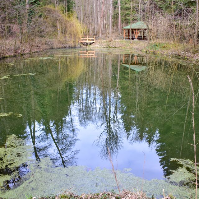 Luhačovice,  Jezírko lásky | foto: Zdeněk Urbanovský,  Český rozhlas