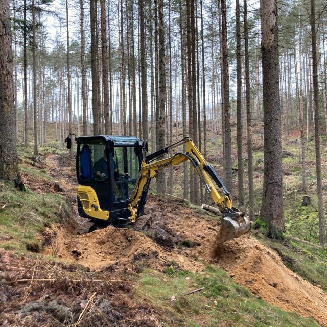 Protipožární kácení v národním parku České Švýcarsko | foto: Daniela Pilařová,  Český rozhlas