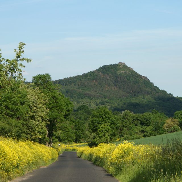 Zřícenina hradu Košťálov u Třebenic | foto: Dagmar Cestrová,  Český rozhlas