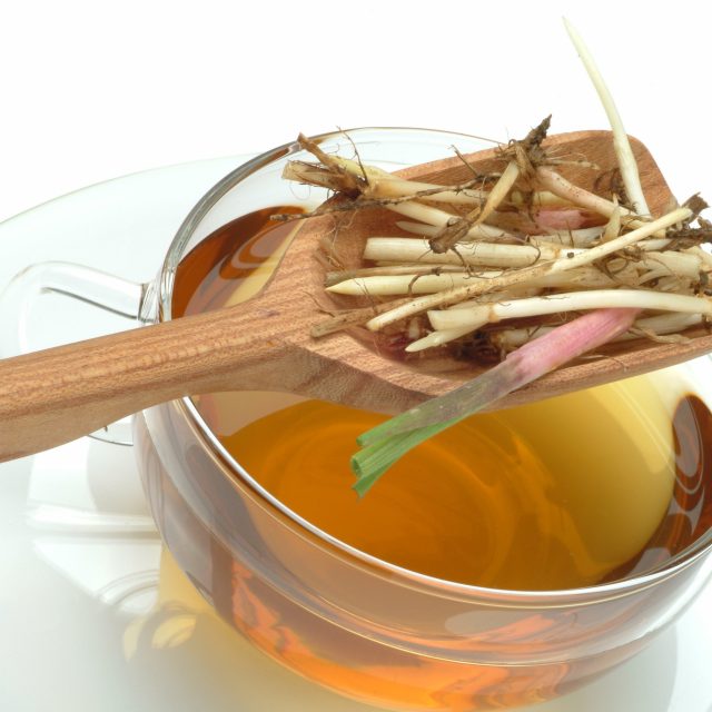 Pýr plazivý,  příprava čaje | foto: Profimedia