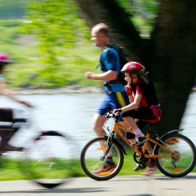 Cyklista,  cyklostezka,  sport | foto: Profimedia