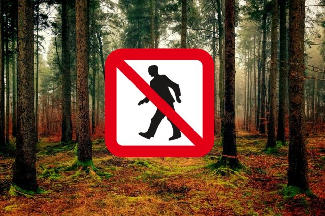 Zákaz vstupu do lesů  (ilustrační foto) | foto:  jplenio,   13smok,  Fotobanka Pixabay,  CC0 1.0
