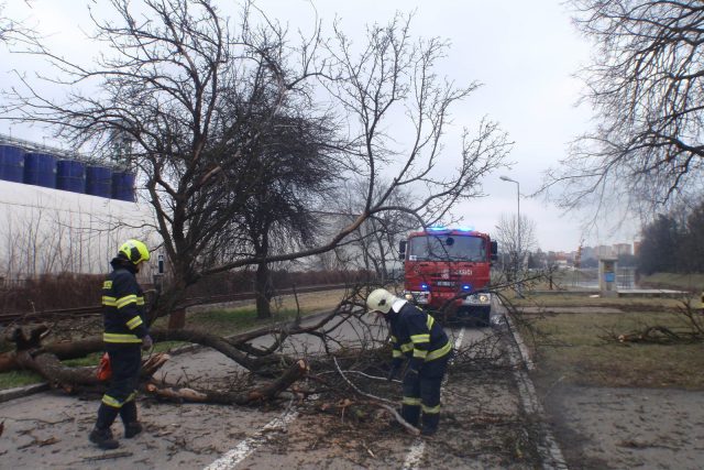 Silný vítr zaměstnává hasiče a energetiky na Děčínsku  (ilustr. obr.) | foto:  Hasiči - Rescue