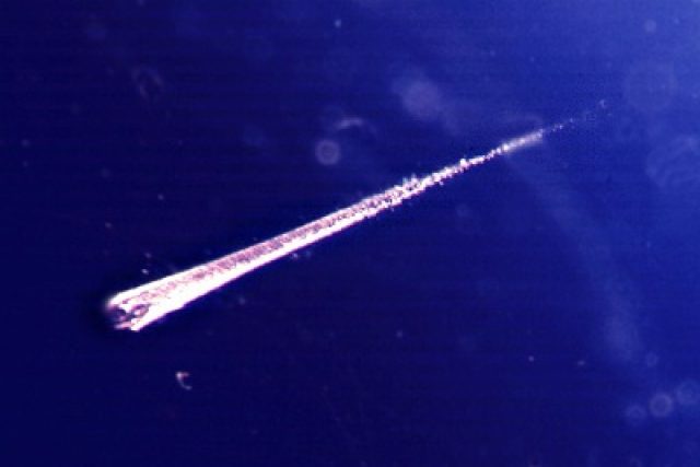 Meteor letící zemskou atmosférou | foto:  ESA