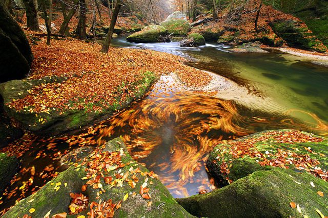 Podzim v Národním parku České Švýcarsko | foto: Václav Sojka