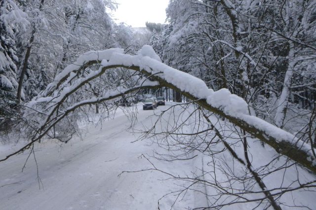 Těžký a mokrý sníh společně s větrem láme větve i celé stromy  (ilustr. obr.) | foto: HZS Královéhradeckého kraje