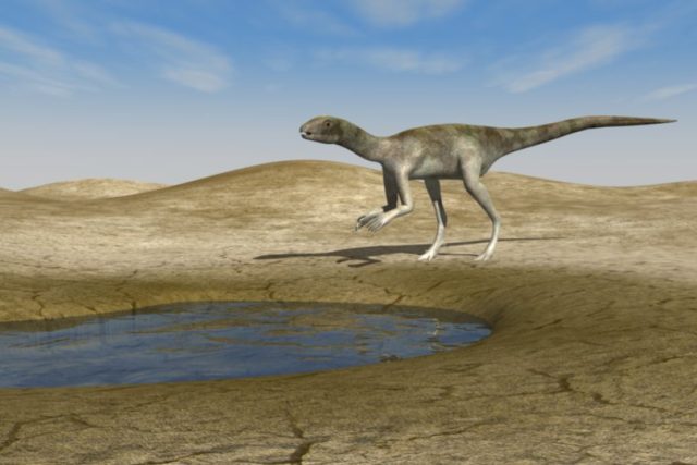 3D rekonstrukce vzhledu dinosaura,  který zanechal druhou českou stopu | foto: Český rozhlas