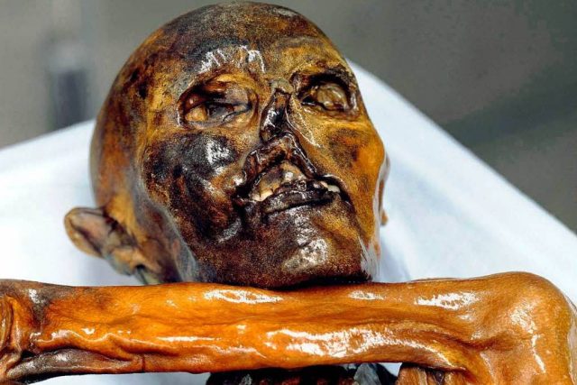 Ötzi,  muž z ledovce | foto:  South Tyrol Museum of Archaeology