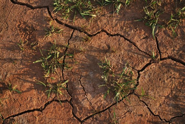suchá půda | foto: Fotobanka Pixabay