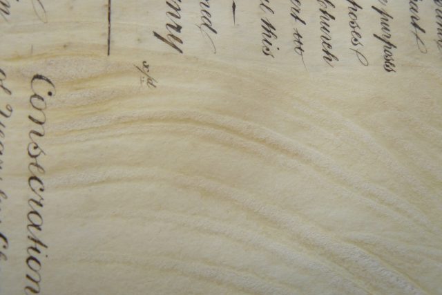Detail pergamenu vyrobeného v manufaktuře  (1853-58) | foto:  The Borthwick Institute for Archives