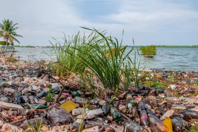 Znečištěné pobřeží lagunového jezera Maracaibo ve Venezuele,  spojeného úzkým průlivem s Venezuelským zálivem | foto: licence Creative Commons Attribution-Share Alike 3.0 Unported,   Wilfredor