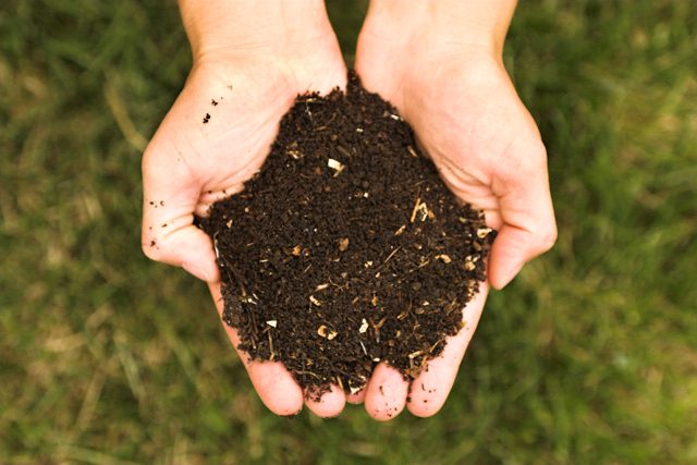 Výsledný kompost | foto:  Panphage
