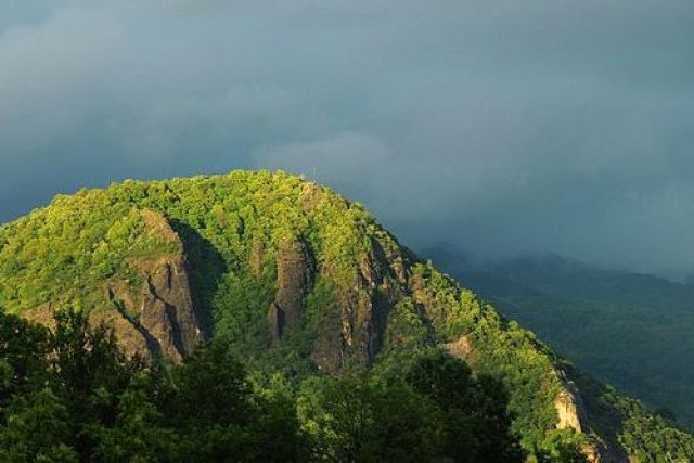 Přírodní rezervace Kozí vrch poblíž obce Povrly v okrese Ústí nad Labem | foto: Creative Commons Attribution 3.0 Unported,  Topi Pigula