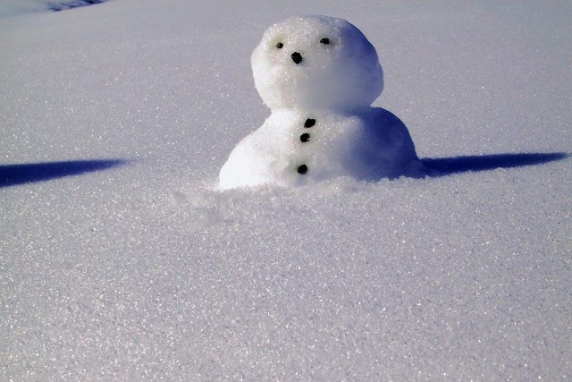 Sněhulák,  ilustrační foto | foto: Fotobanka Pixabay