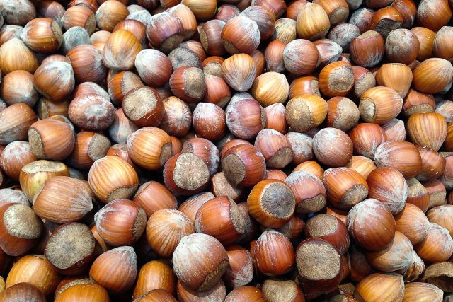 Lískové oříšky,  ořechy,  líska,  jádra | foto: Fotobanka Pixabay