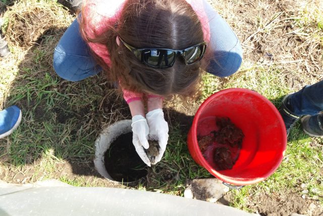 Děti z Tisé už třetím rokem pomáhají dobrovolníkům se záchranou žab | foto: Veronika Králová,  Český rozhlas