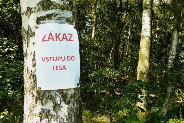 Zákaz vstupu do lesa  (ilustr. obr.) | foto: Tomáš Mařas,  Český rozhlas