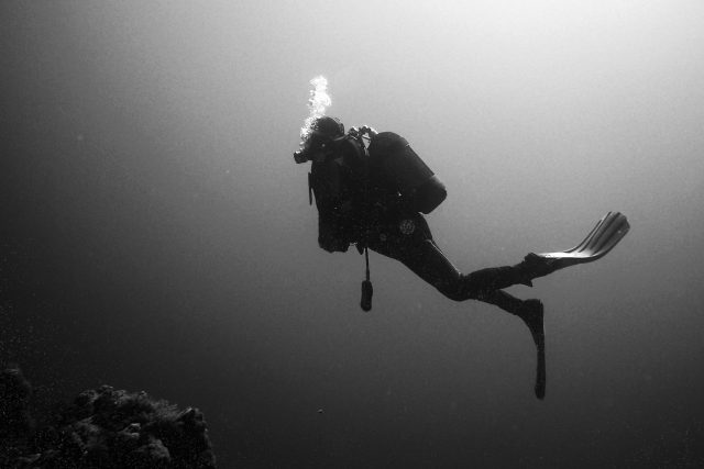 Potápěč | foto: Fotobanka Pixabay