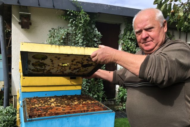 Včelař při práci | foto: Andrea Švubová