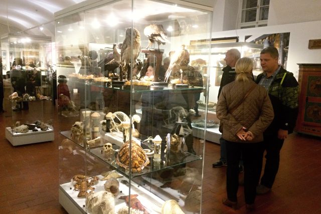 Na výstavě ke 120 letům otevření muzeum ukazuje i část přírodovědné sbírky | foto: Gabriela Hauptvogelová,  Český rozhlas