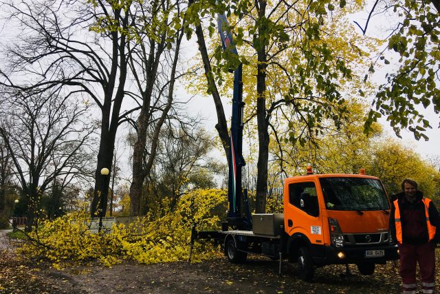 V Lounech na výstavišti začalo kácení více než stovky stromů v parku T. G. Masaryka | foto: Jan  Beneš