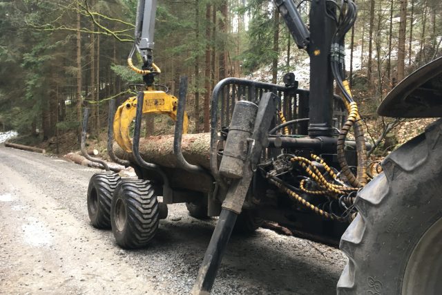 Uklid stromů popadaných po dvou vichřicích v národním parku České Švýcarsko | foto: Lucie Valášková