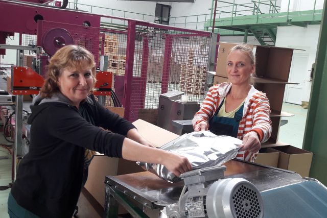 Alena Mrázková a Martina Vrábelová balí chmelové granule,  které pak odebírají pivovary | foto: Libor Želinský
