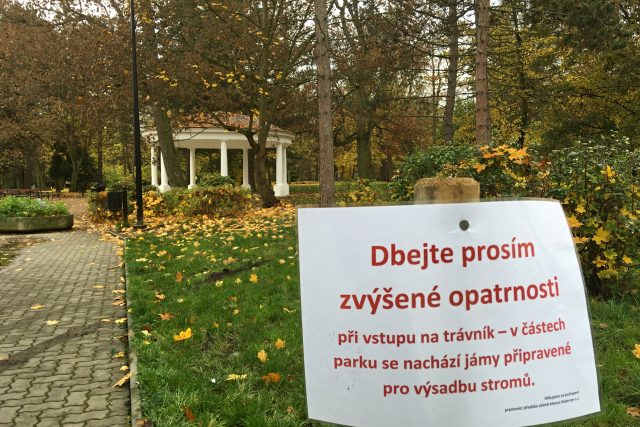 V Zámecké zahradě v Teplicích bude 184 nových stromů místo těch pokácených | foto: Gabriela Hauptvogelová,  Český rozhlas