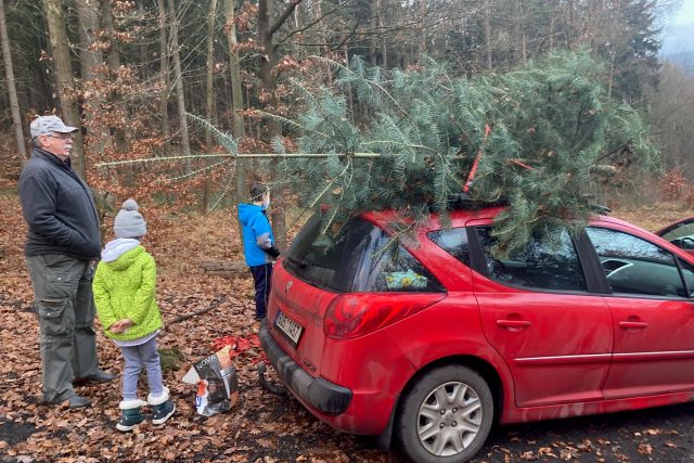 Prodej vánočních stromků | foto: Daniela Pilařová,  Český rozhlas