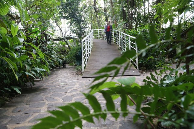 Botanická zahrada Teplice,  tropický skleník | foto: Iveta Lhotská,  Profimedia