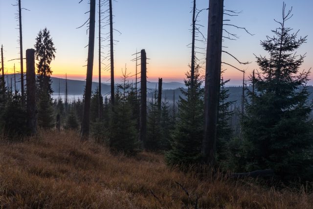 Šumava | foto: Správa Národního parku Šumava