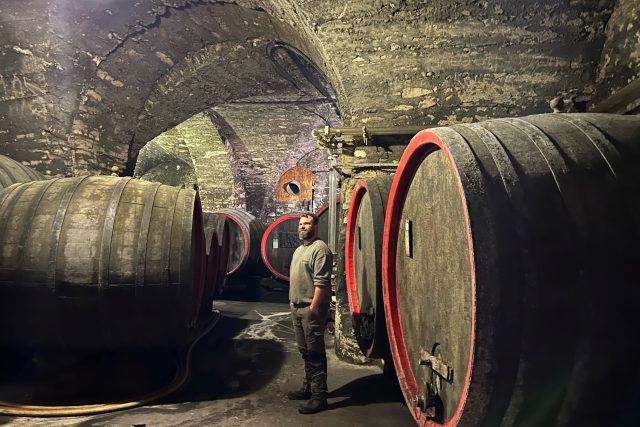 Stáčení posledních litrů mladého vína Roudnice nad Labem | foto: Lucie Heyzlová,  Český rozhlas