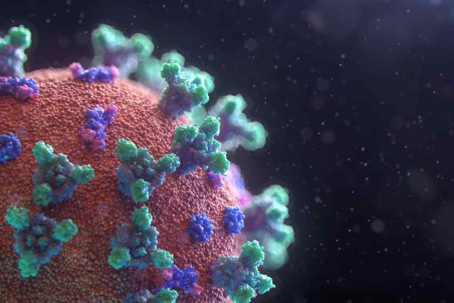 Koronavirus | foto:  Fusion Medical Animation,  Fotobanka Unsplash