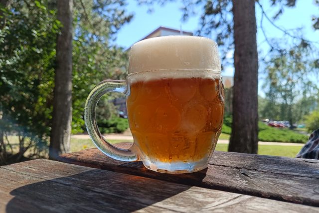 Nad půllitrem piva zaznělo v minulosti mnoho silných slov - a platí to dodnes. | foto: Dagmar Cestrová,  Český rozhlas