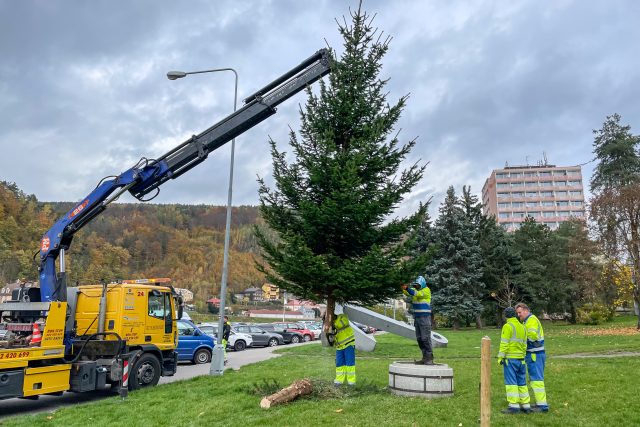 Instalace vánočního stromu u děčínské knihovny | foto: Luděk Stínil,  Magistrát města Děčín