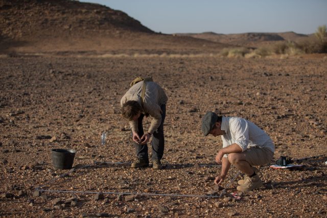 Povrchový průzkum dokázal,  že v Šakadúdu se nachází pravděpodobně největší pravěká lokalita v Súdánu. P. Burgert a J. Unger při totálních sběrech | foto: Petr Pokorný
