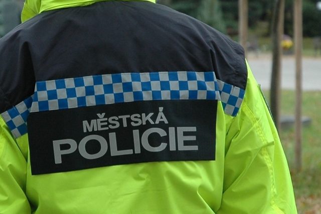 Městská policie  (ilustr. obr.) | foto: Městská policie České Budějovice