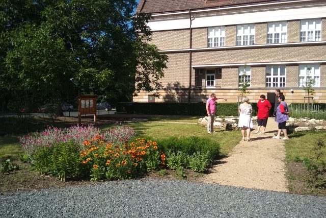 O nově založenou školní zahradu v Postoloprtech dočasně pečuje personál,  od září nastoupí děti | foto: Jana Vitásková,  Český rozhlas
