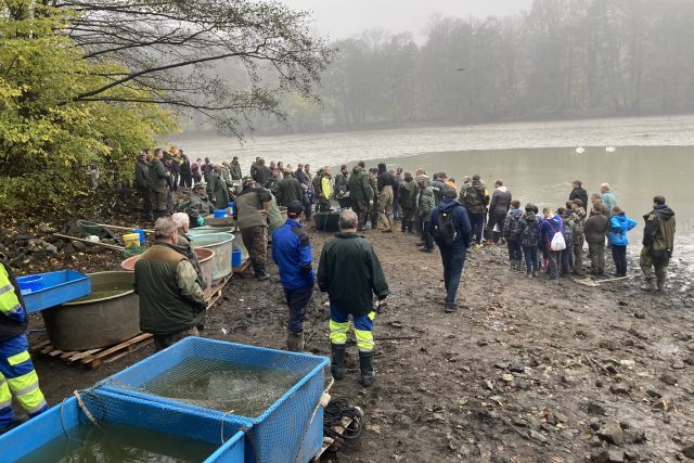 Výlov Horního rybníka v teplické Zámecké zahradě | foto: Gabriela Hauptvogelová,  Český rozhlas