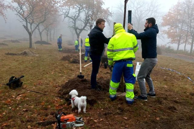 Zasadit nové třešně přišli v Teplicích i dobrovolníci | foto: Jana Vitásková,  Český rozhlas