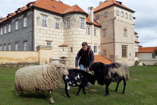 Kastelán z Brandýsa nad Labem Vít Rejthar se v práci nenudí. Jako kluk z vesnice si se zvířaty hravě poradí | foto: Barbora Kvapilová,  Český rozhlas